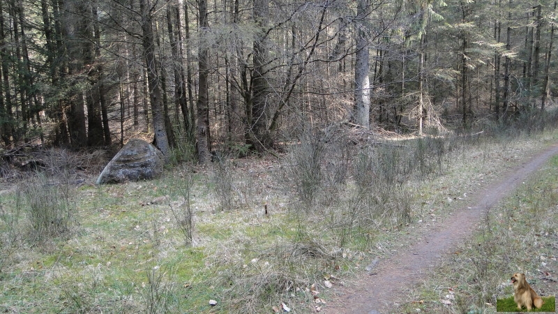 Ritterstein Nr. 278-4 Obere Isenach Ruine Wolfenhuette 100 mtr..JPG - Ritterstein Nr.278 Obere Isenach Ruine Wolfenhuette 100 mtr.